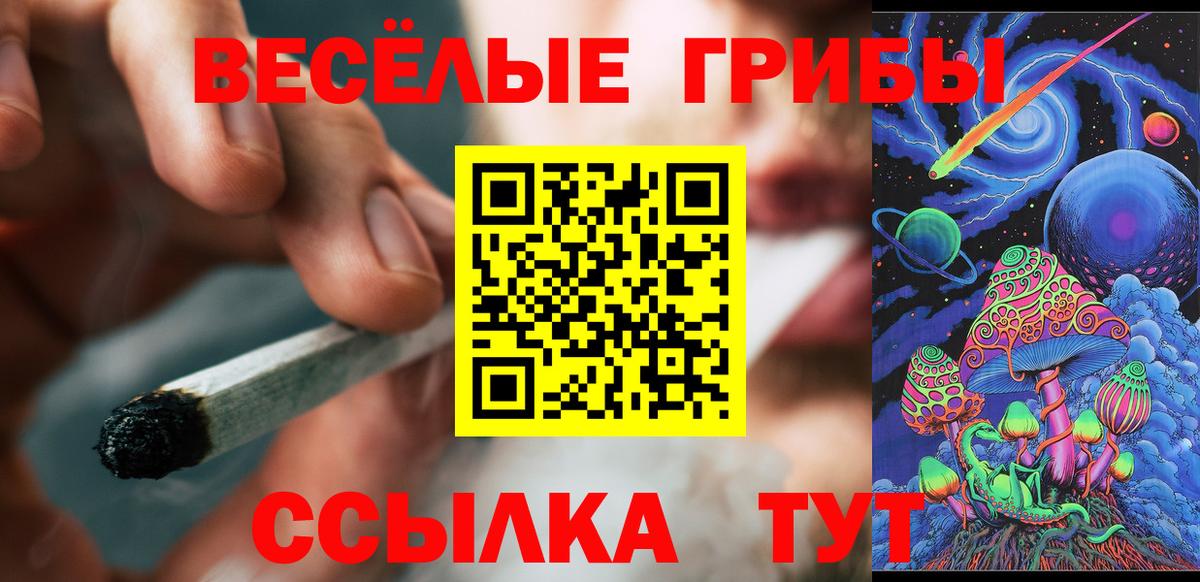 Псилоцибиновые грибы GOLDEN TEACHER  Вход с VPN  Глазов 